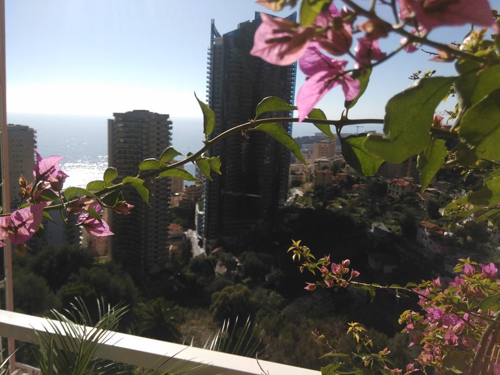 Monaco Pool Sea View Apartments Beausoleil Luaran gambar